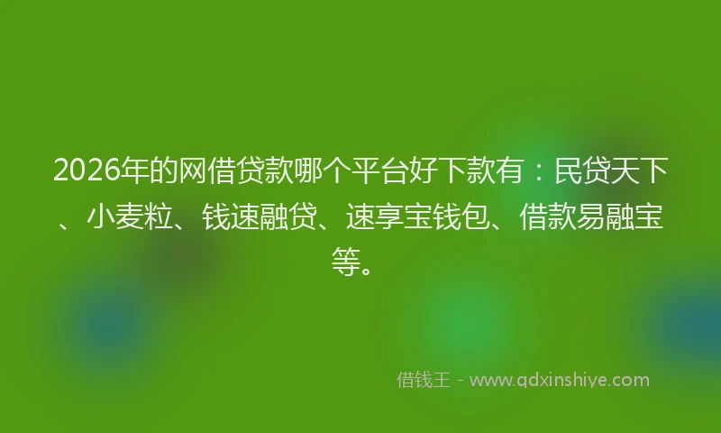 2026年的网借贷款哪个平台好下款有：民贷天下、小麦粒、钱速融贷、速享宝钱包、借款易融宝等。