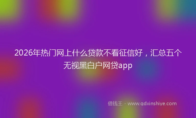 2026年热门网上什么贷款不看征信好，汇总五个无视黑白户网贷app