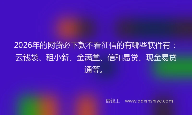 2026年的网贷必下款不看征信的有哪些软件有:云钱袋、租小新、金满堂、信和易贷、现金易贷通等。