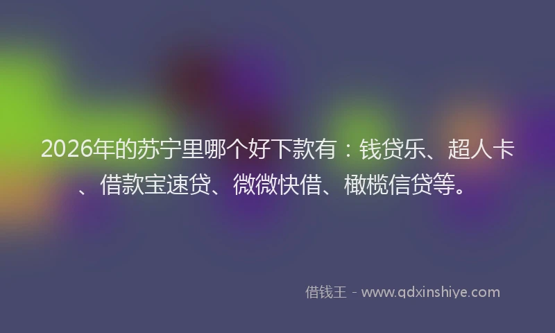2026年的苏宁里哪个好下款有：钱贷乐、超人卡、借款宝速贷、微微快借、橄榄信贷等。