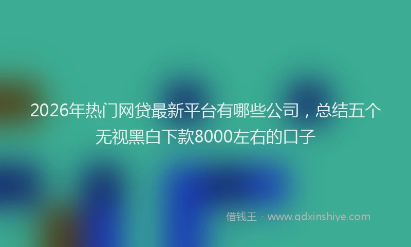 2026年热门网贷最新平台有哪些公司，总结五个无视黑白下款8000左右的口子