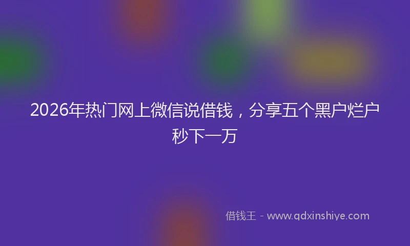2026年热门网上微信说借钱，分享五个黑户烂户秒下一万