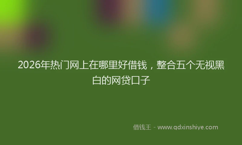 2026年热门网上在哪里好借钱，整合五个无视黑白的网贷口子