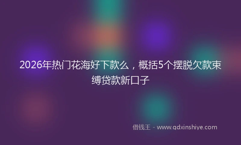2026年热门花海好下款么，概括5个摆脱欠款束缚贷款新口子