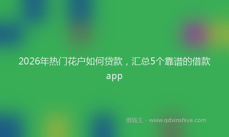 2026年热门花户如何贷款，汇总5个靠谱的借款app