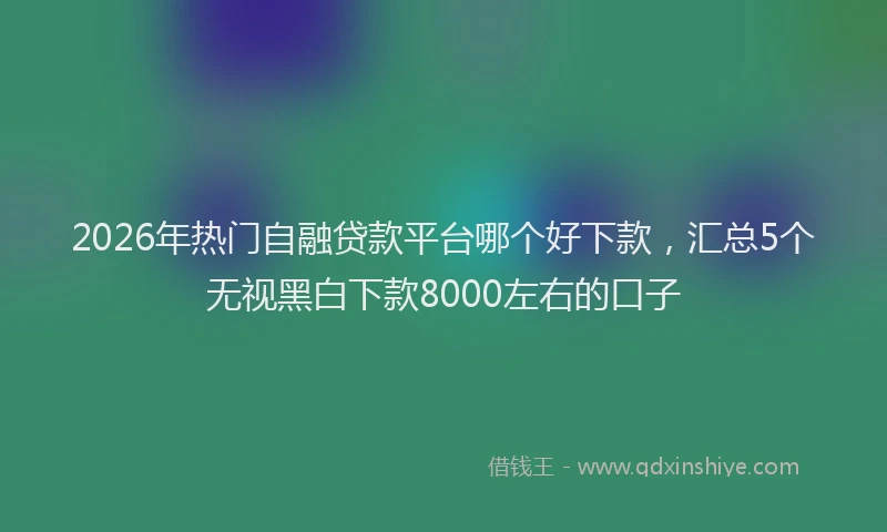 2026年热门自融贷款平台哪个好下款，汇总5个无视黑白下款8000左右的口子