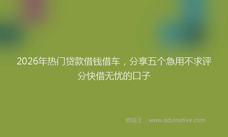 2026年热门贷款借钱借车，分享五个急用不求评分快借无忧的口子