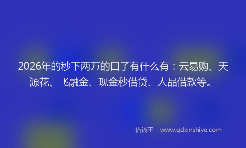 2026年的秒下两万的口子有什么有：云易购、天源花、飞融金、现金秒借贷、人品借款等。