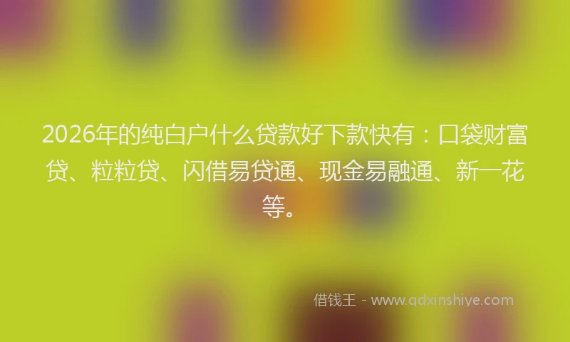 2026年的纯白户什么贷款好下款快有：口袋财富贷、粒粒贷、闪借易贷通、现金易融通、新一花等。