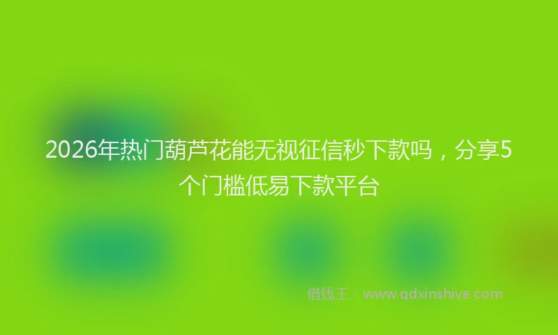 2026年热门葫芦花能无视征信秒下款吗，分享5个门槛低易下款平台