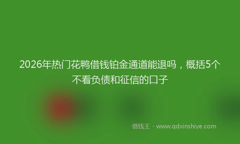 2026年热门花鸭借钱铂金通道能退吗，概括5个不看负债和征信的口子
