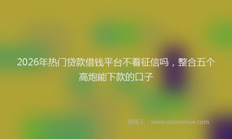 2026年热门贷款借钱平台不看征信吗，整合五个高炮能下款的口子