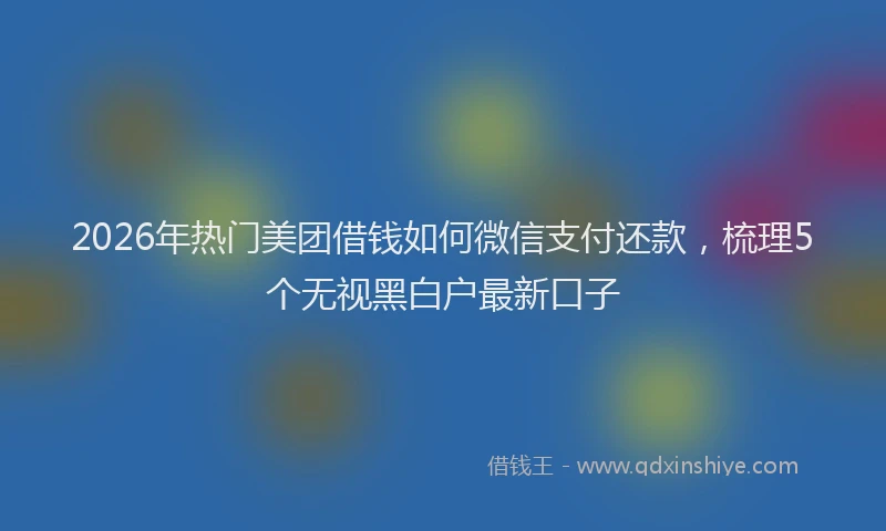2026年热门美团借钱如何微信支付还款，梳理5个无视黑白户最新口子