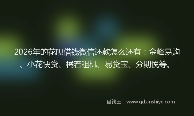 2026年的花呗借钱微信还款怎么还有：金峰易购、小花快贷、橘若租机、易贷宝、分期悦等。