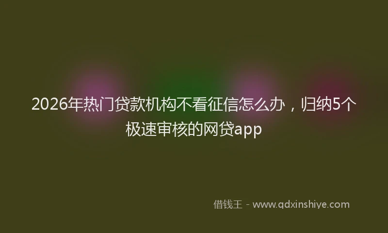2026年热门贷款机构不看征信怎么办，归纳5个极速审核的网贷app