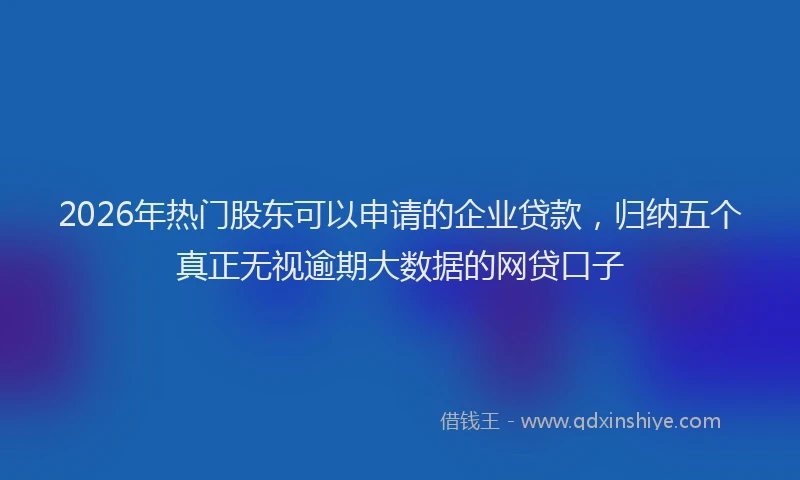 2026年热门股东可以申请的企业贷款，归纳五个真正无视逾期大数据的网贷口子