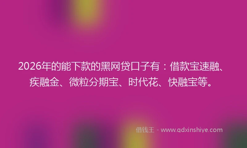 2026年的能下款的黑网贷口子有：借款宝速融、疾融金、微粒分期宝、时代花、快融宝等。