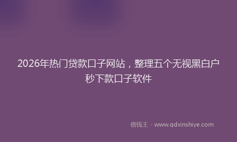 2026年热门贷款口子网站，整理五个无视黑白户秒下款口子软件