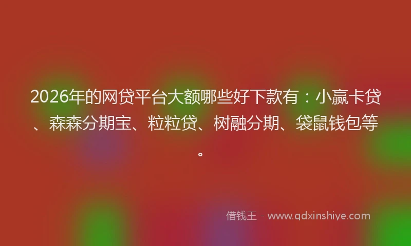 2026年的网贷平台大额哪些好下款有：小赢卡贷、森森分期宝、粒粒贷、树融分期、袋鼠钱包等。
