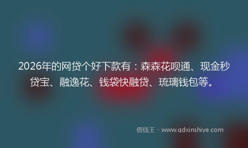 2026年的网贷个好下款有：森森花呗通、现金秒贷宝、融逸花、钱袋快融贷、琉璃钱包等。