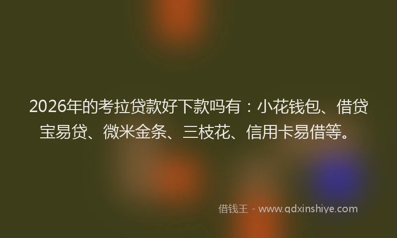 2026年的考拉贷款好下款吗有：小花钱包、借贷宝易贷、微米金条、三枝花、信用卡易借等。