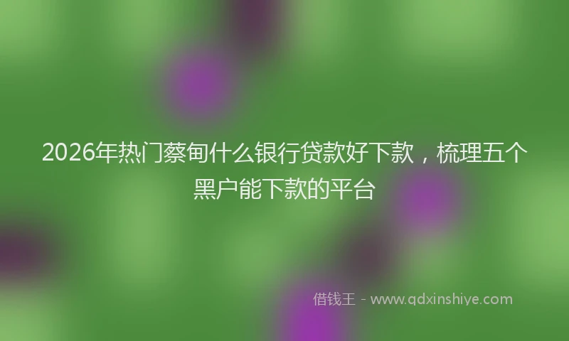 2026年热门蔡甸什么银行贷款好下款,梳理五个黑户能下款的平台