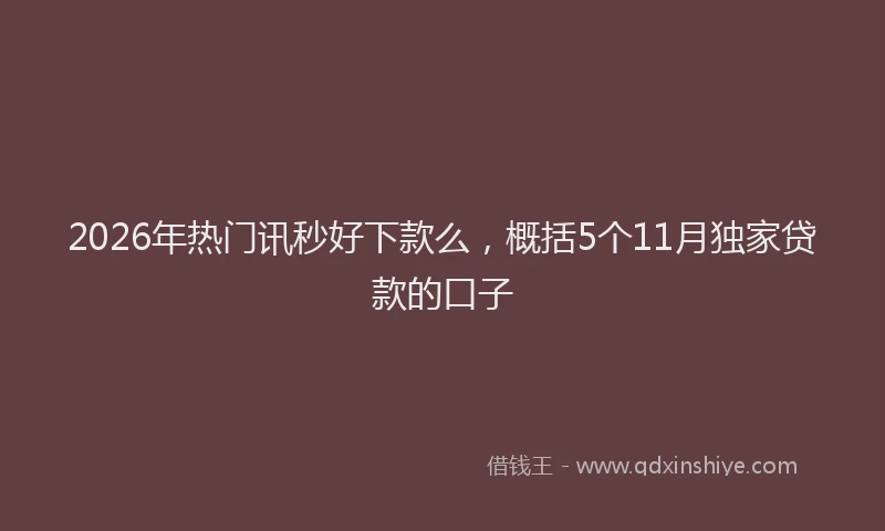 2026年热门讯秒好下款么，概括5个11月独家贷款的口子