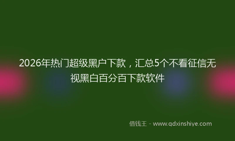 2026年热门超级黑户下款，汇总5个不看征信无视黑白百分百下款软件