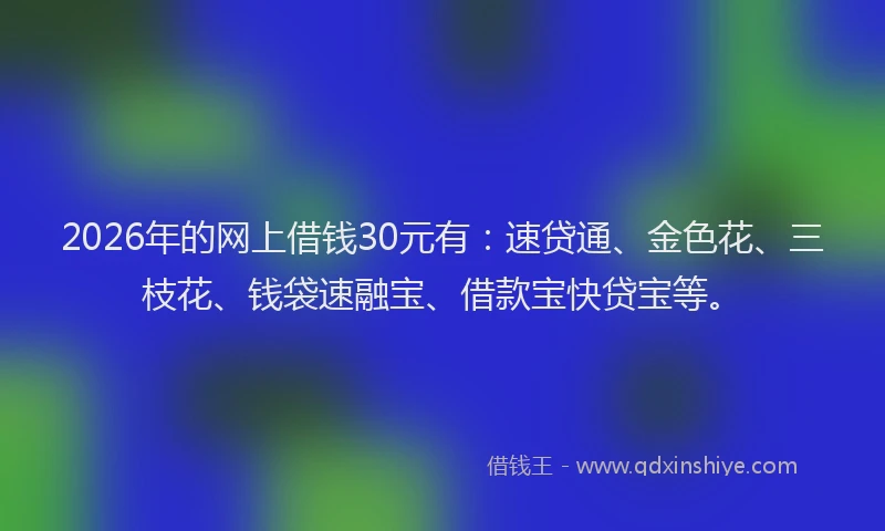 2026年的网上借钱30元有：速贷通、金色花、三枝花、钱袋速融宝、借款宝快贷宝等。