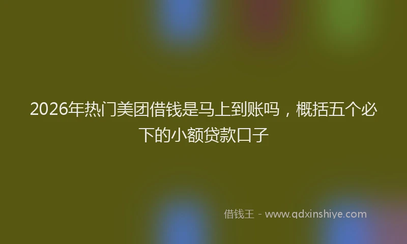 2026年热门美团借钱是马上到账吗，概括五个必下的小额贷款口子