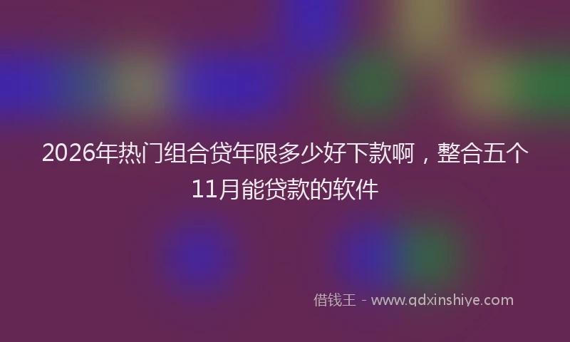 2026年热门组合贷年限多少好下款啊,整合五个11月能贷款的软件