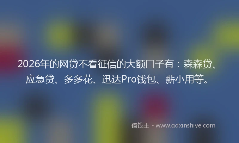 2026年的网贷不看征信的大额口子有：森森贷、应急贷、多多花、迅达Pro钱包、薪小用等。
