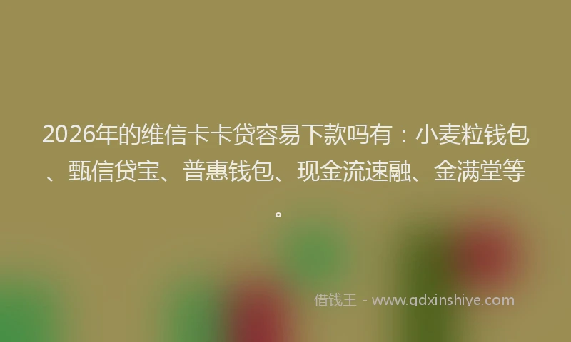 2026年的维信卡卡贷容易下款吗有:小麦粒钱包、甄信贷宝、普惠钱包、现金流速融、金满堂等。
