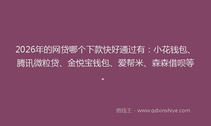 2026年的网贷哪个下款快好通过有：小花钱包、腾讯微粒贷、金悦宝钱包、爱帮米、森森借呗等。