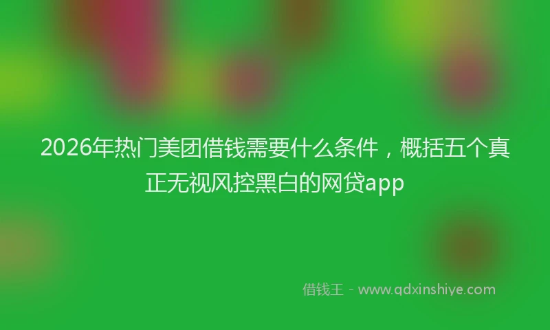 2026年热门美团借钱需要什么条件，概括五个真正无视风控黑白的网贷app