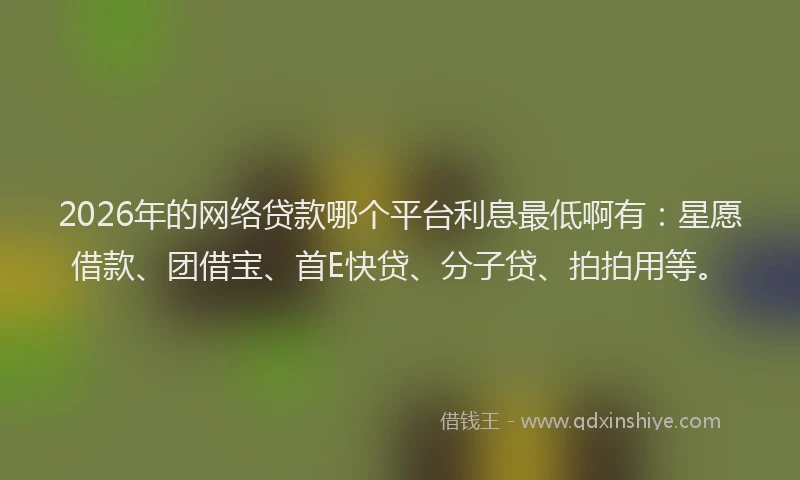 2026年的网络贷款哪个平台利息最低啊有：星愿借款、团借宝、首E快贷、分子贷、拍拍用等。