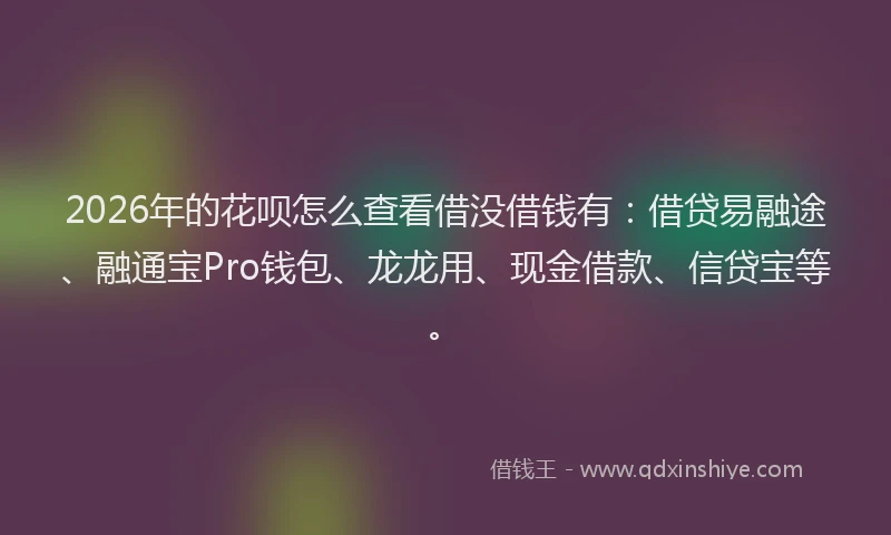 2026年的花呗怎么查看借没借钱有：借贷易融途、融通宝Pro钱包、龙龙用、现金借款、信贷宝等。