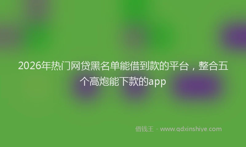2026年热门网贷黑名单能借到款的平台,整合五个高炮能下款的app