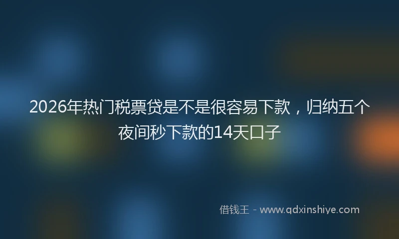 2026年热门税票贷是不是很容易下款，归纳五个夜间秒下款的14天口子