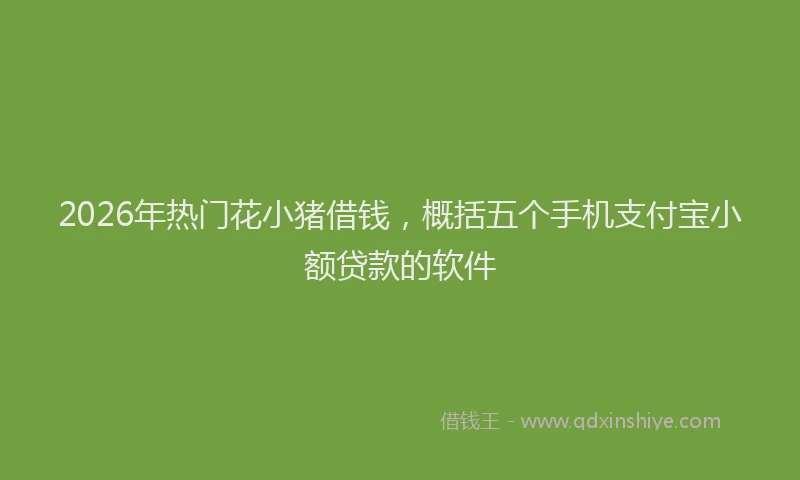 2026年热门花小猪借钱，概括五个手机支付宝小额贷款的软件