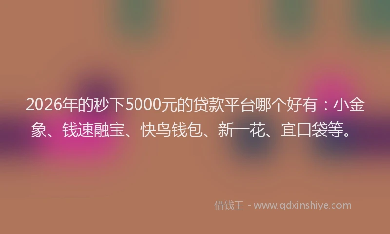 2026年的秒下5000元的贷款平台哪个好有：小金象、钱速融宝、快鸟钱包、新一花、宜口袋等。