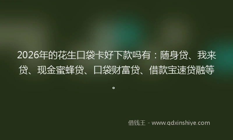 2026年的花生口袋卡好下款吗有:随身贷、我来贷、现金蜜蜂贷、口袋财富贷、借款宝速贷融等。