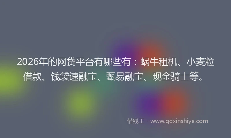 2026年的网贷平台有哪些有：蜗牛租机、小麦粒借款、钱袋速融宝、甄易融宝、现金骑士等。