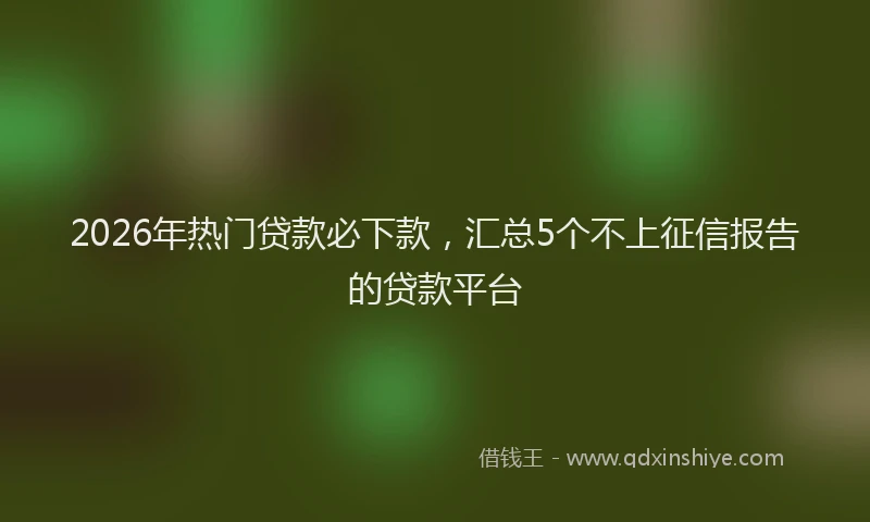 2026年热门贷款必下款，汇总5个不上征信报告的贷款平台