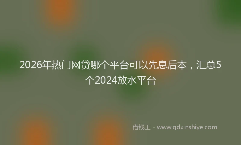 2026年热门网贷哪个平台可以先息后本,汇总5个2024放水平台
