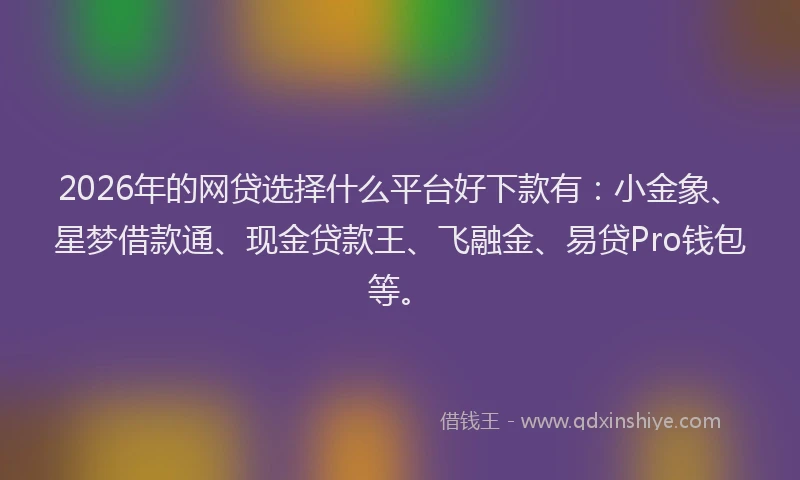 2026年的网贷选择什么平台好下款有：小金象、星梦借款通、现金贷款王、飞融金、易贷Pro钱包等。