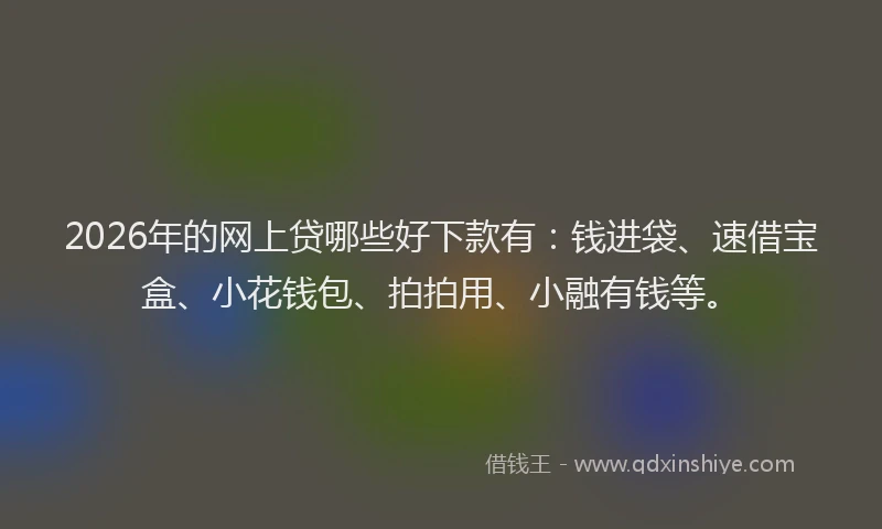 2026年的网上贷哪些好下款有：钱进袋、速借宝盒、小花钱包、拍拍用、小融有钱等。