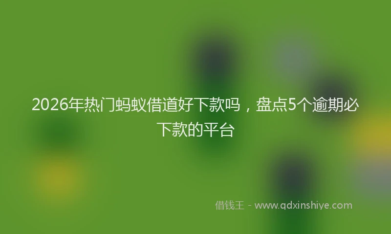 2026年热门蚂蚁借道好下款吗，盘点5个逾期必下款的平台