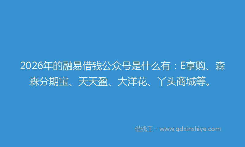 2026年的融易借钱公众号是什么有:E享购、森森分期宝、天天盈、大洋花、丫头商城等。