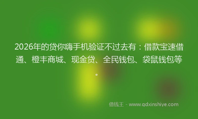 2026年的贷你嗨手机验证不过去有：借款宝速借通、橙丰商城、现金贷、全民钱包、袋鼠钱包等。